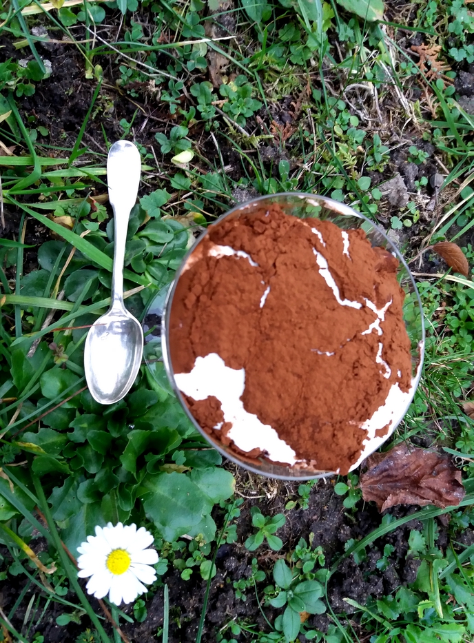 Tiramisu Keto Entremet Sans Sucre La Tendresse En Cuisine