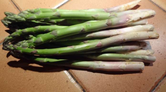 Asperges glacées 1