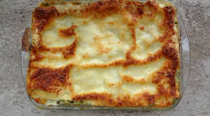 Lasagnes de légumes 0