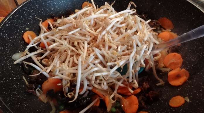 Wok de légumes aux champignons noirs 11