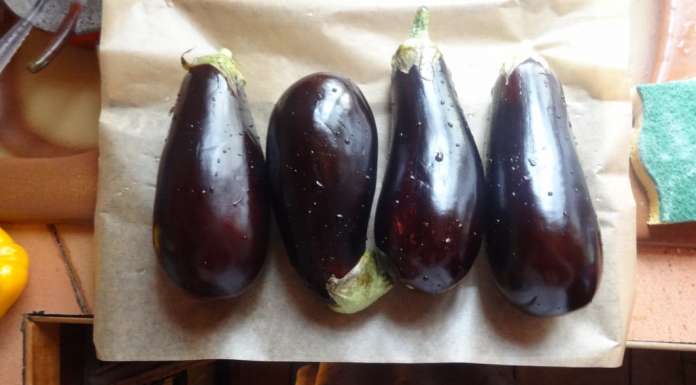 Carviar d'aubergines au fromage frais 1