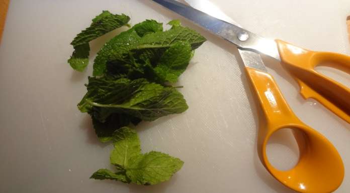 Salade courgette crue pomme et menthe 4