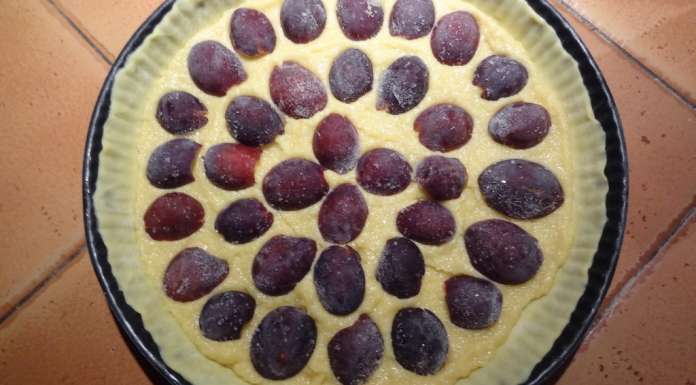 Tarte quetsches amandes 7