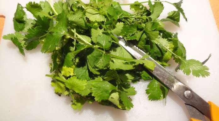 Salade de vermicelles de riz à la coriandre 13