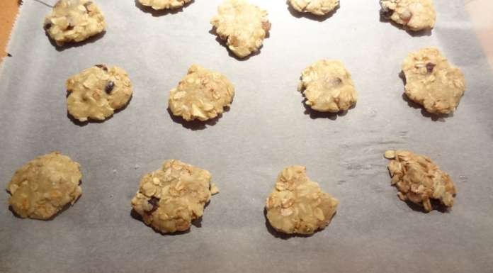 Cookies au muesli sans oeufs 8