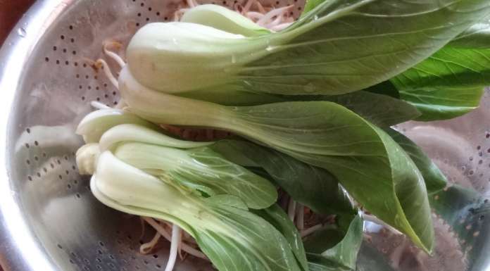 Udon coréens aux légumes 6