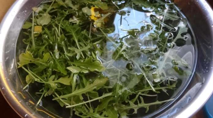 Salade de fraises, roquette et feta 1