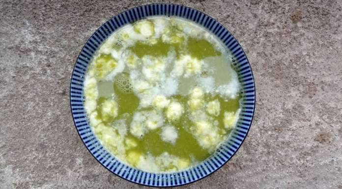 Velouté de pois au sirop d'érable 0