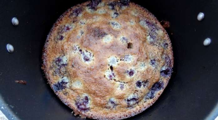 Fondant aux amandes et aux myrtilles 10