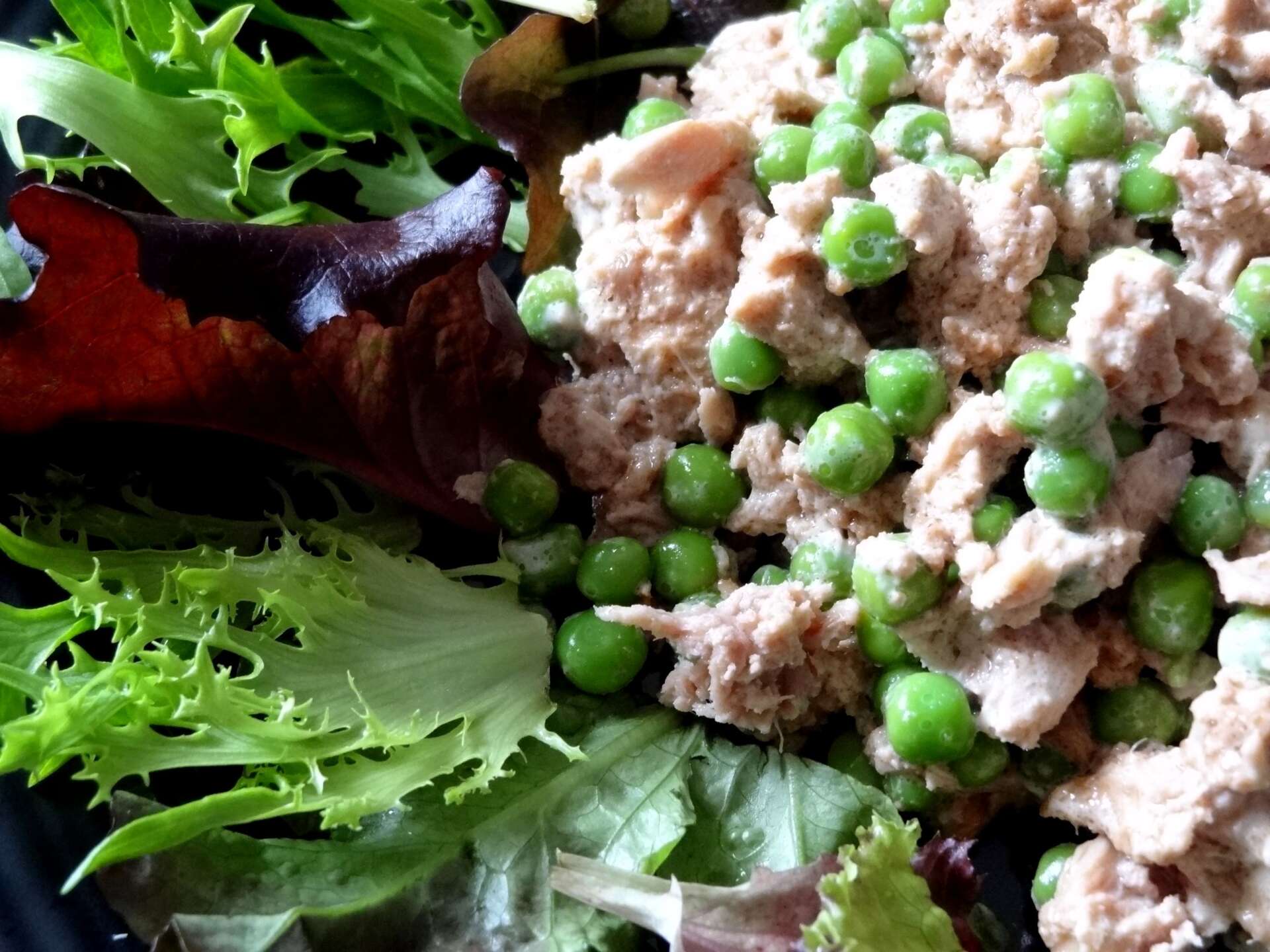 Salade De Thon Aux Petits Pois Cameroun