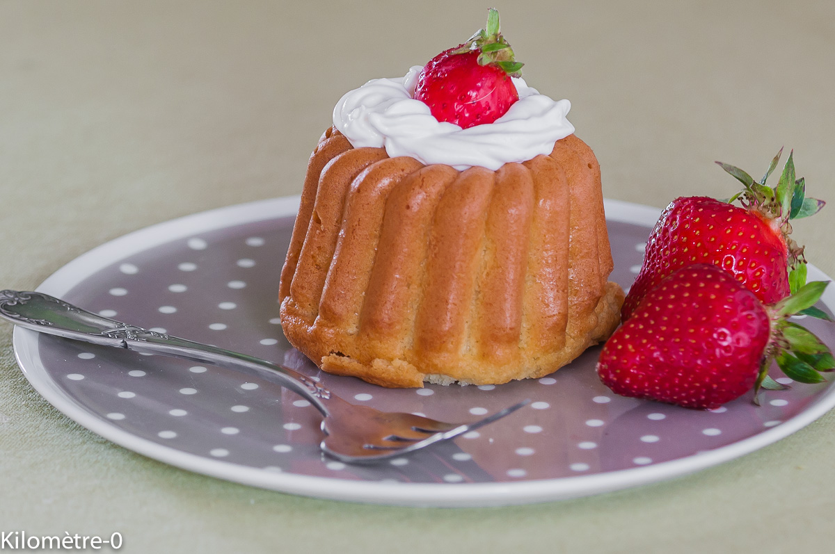 recettes françaises baba au rhum