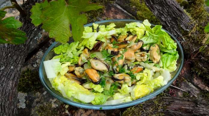 Les moules de sa Titine vues de haut