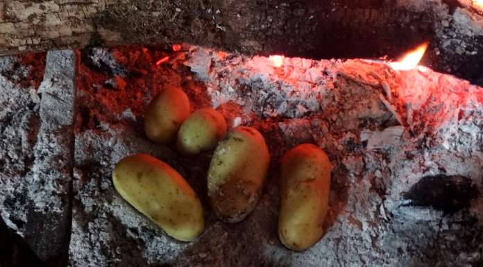 Enfouir les pommes de terre sous la cendre