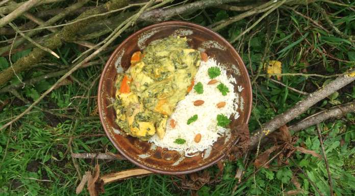 Curry de saumon au potimarron et épinards