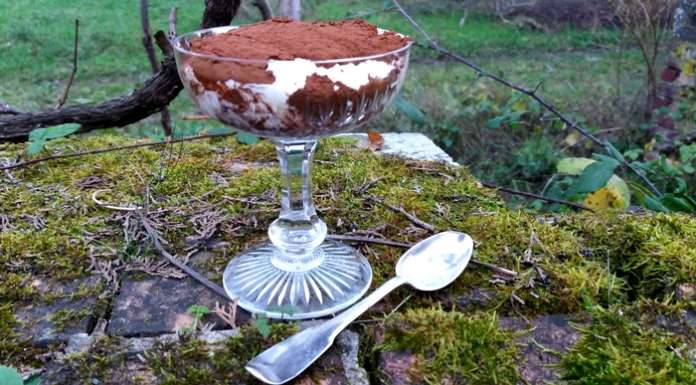 tiramisu keto vue de profil