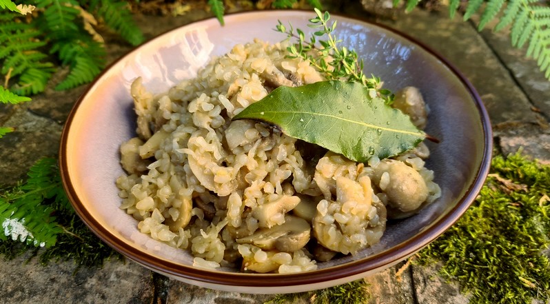 recettes andorranes riz aux champignons