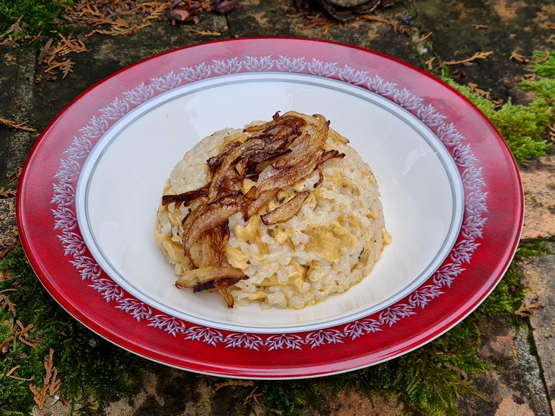 recettes qataris poulet au riz