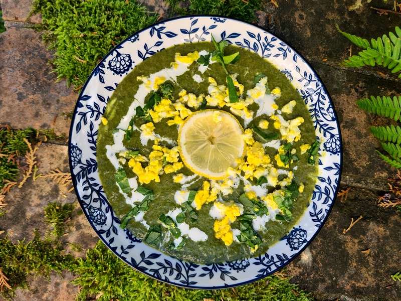 recettes lettones velouté d'oseille et épinards