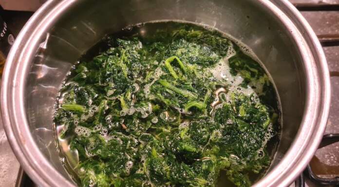 Gratin d'épinards et semoule à la feta (céto) - La tendresse en cuisine