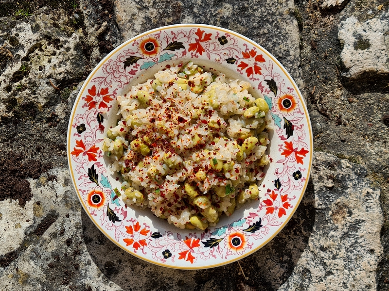 recettes bahaméennes riz aux pois peas'n rice